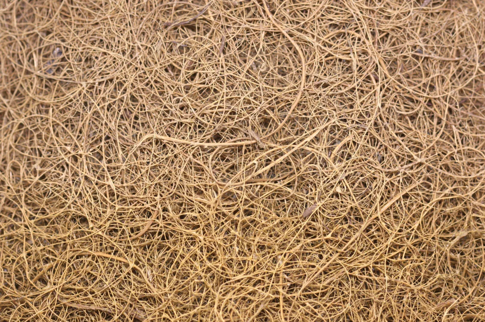 Matrace COCO TIGER (4)